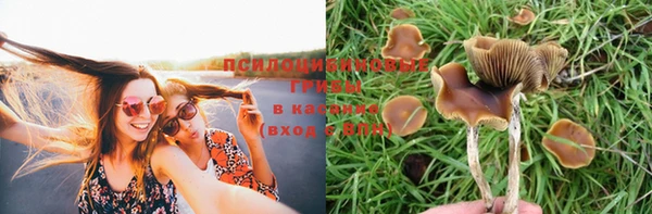 кокаин перу Арсеньев