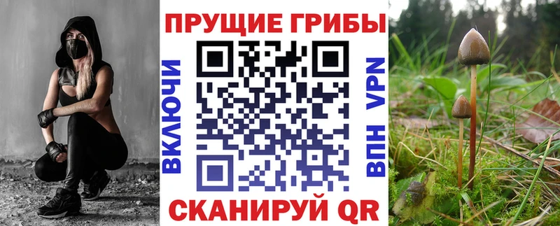 Псилоцибиновые грибы мицелий  купить  цена  Любань 